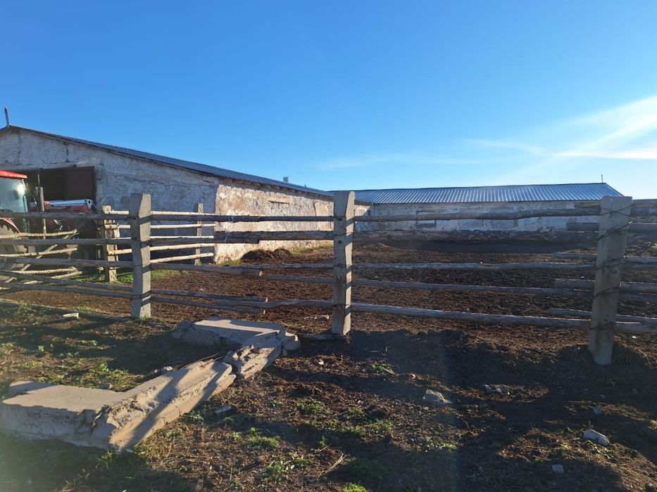 Фермерское хозяйство