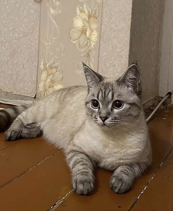 Өзбектердің жасырын секс