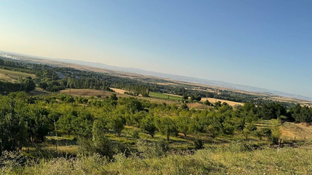 Продаётся фермерское хозяйство 11 га..