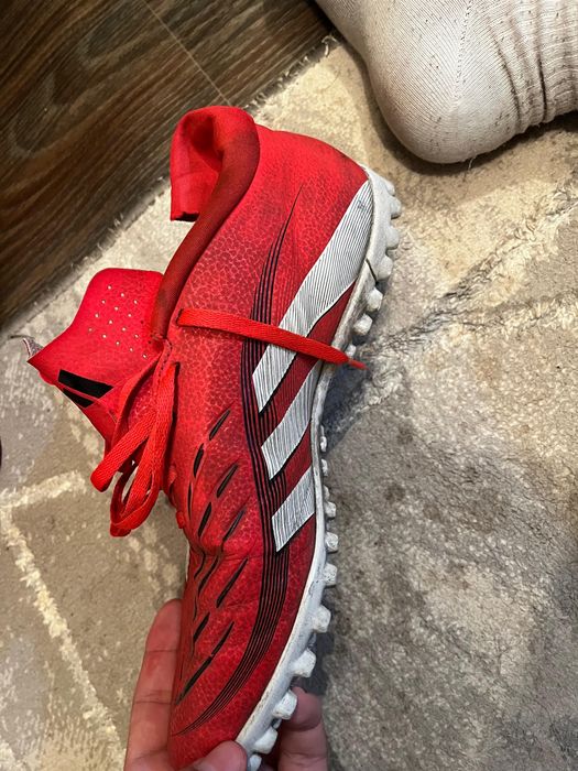 Сороконожки (шиповка) оргинал