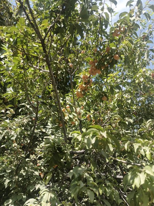 Продам участок 7,6 соток