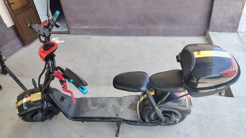 Sity Coco harley