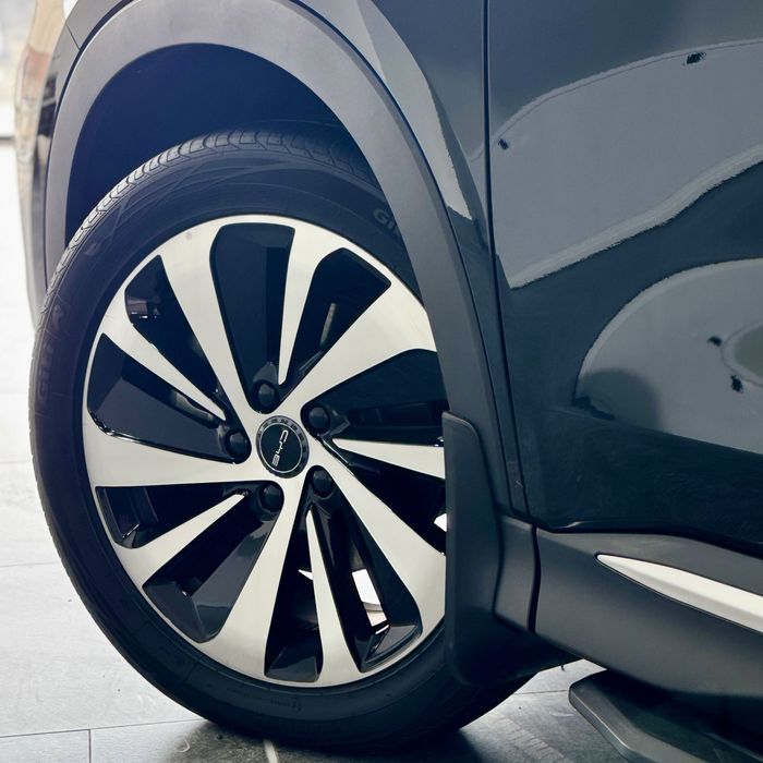 BYD CHEPION DM-i 2024 yil 19.000 km