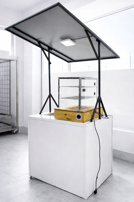 Киоск street food