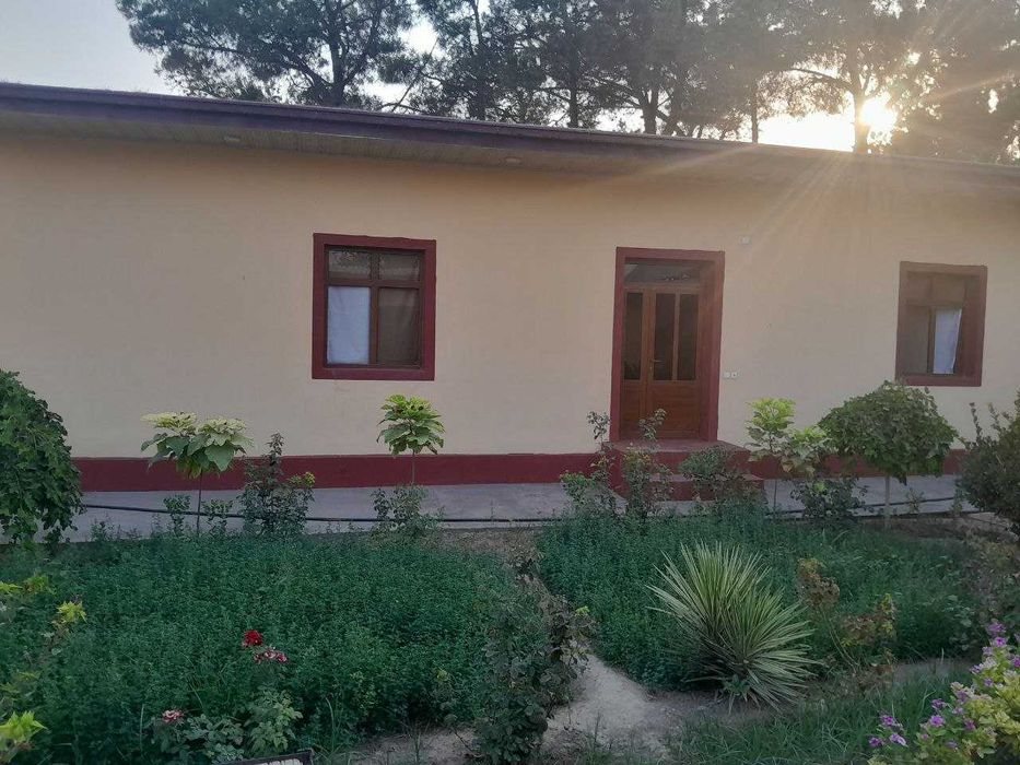 Termiz tuman Uchqizil MFYda 8 sotixli uy sotiladi