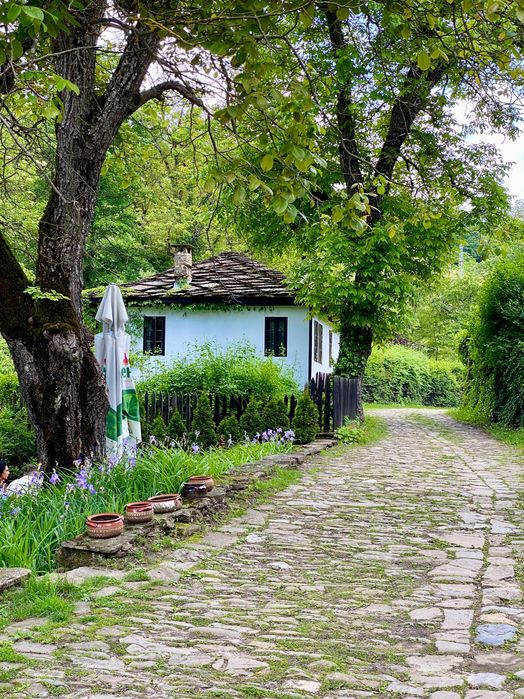 Продава се Парцел в с. Боженците, Област Габрово - 1000 кв.м за 10 €/кв.м - Снимка #2