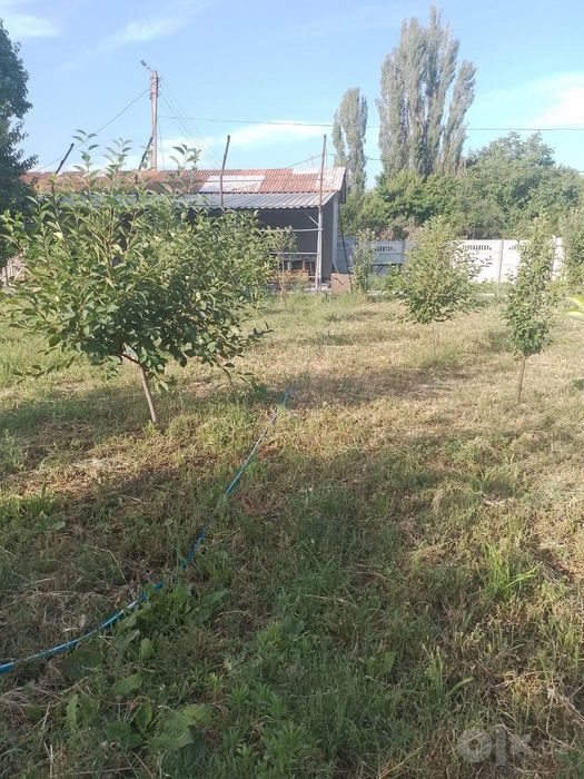 Dacha sotiladi. Juma bozor Jambil tarafda.