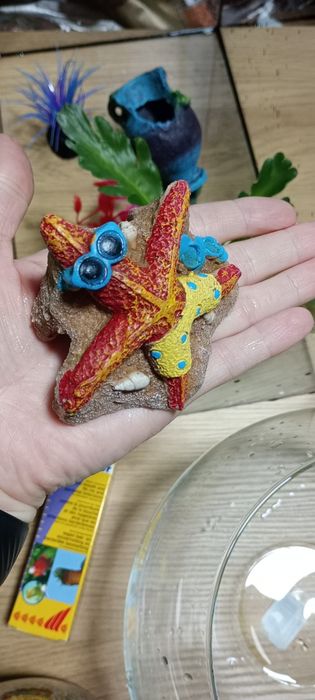 Set acvariu și accesorii pentru pești