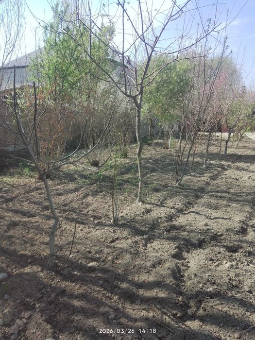 Fargona shaxar Beshbolada 3  so tix er sotiladi