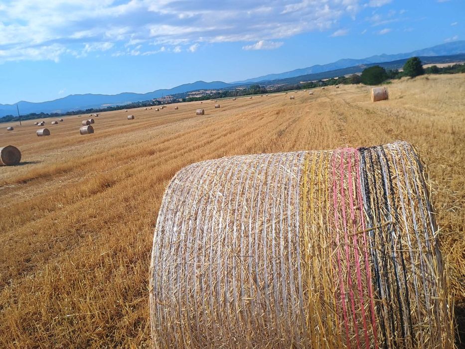 Рулонни бали ПРОСО със зърното