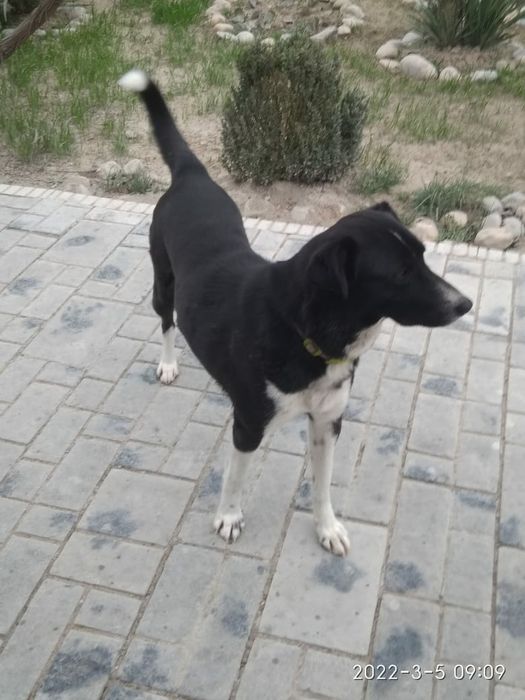 Облицовочнная плитка брущатка МЮНХЕН