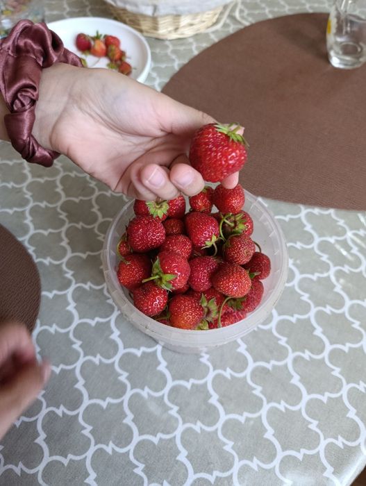 Продам клубнику.