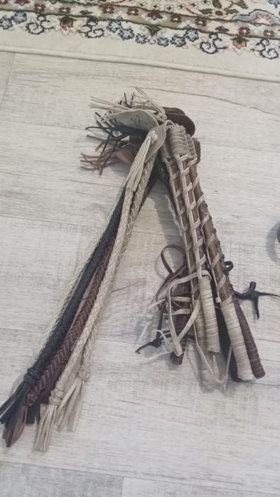 Шыбырткы,  қамшы