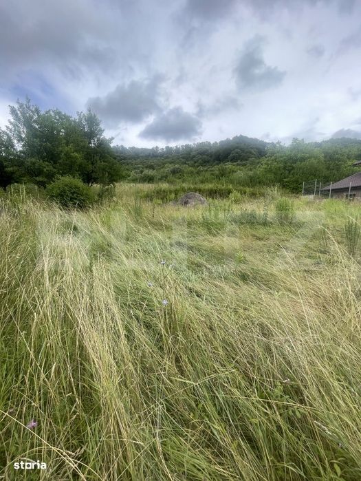 Teren intravilan de 15 ari – Valea Jelnei, str. Campului