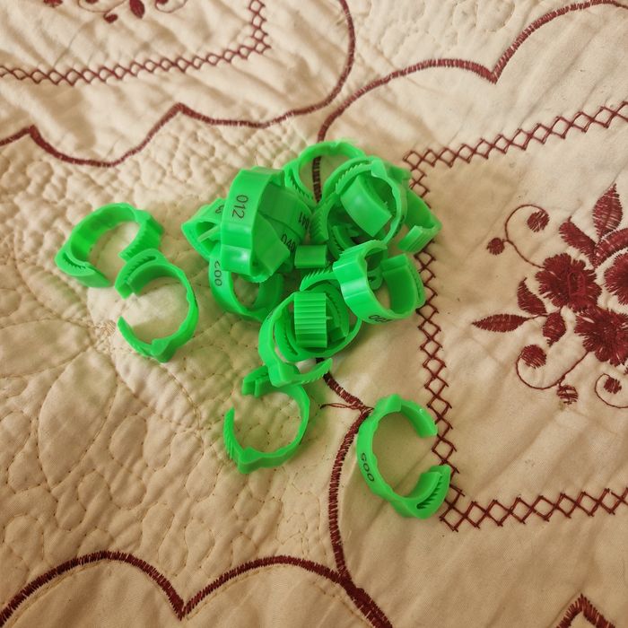 Продам кольца для курей