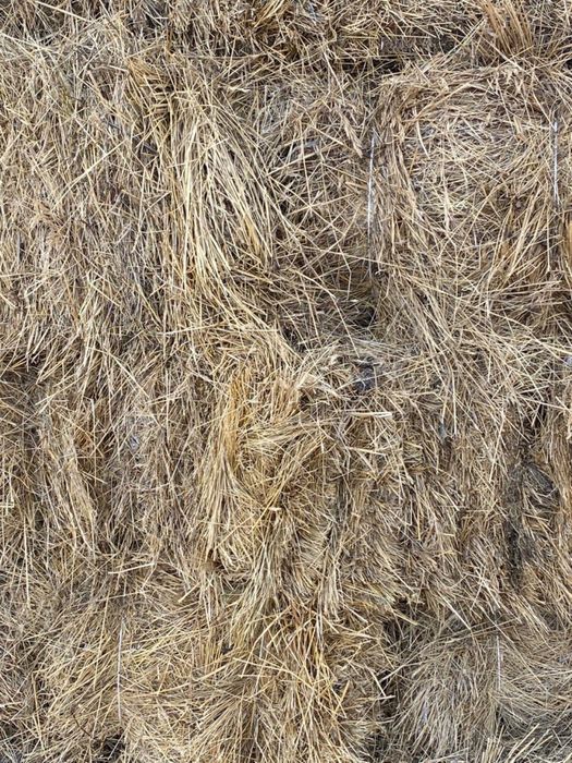 Продам сено в тюках