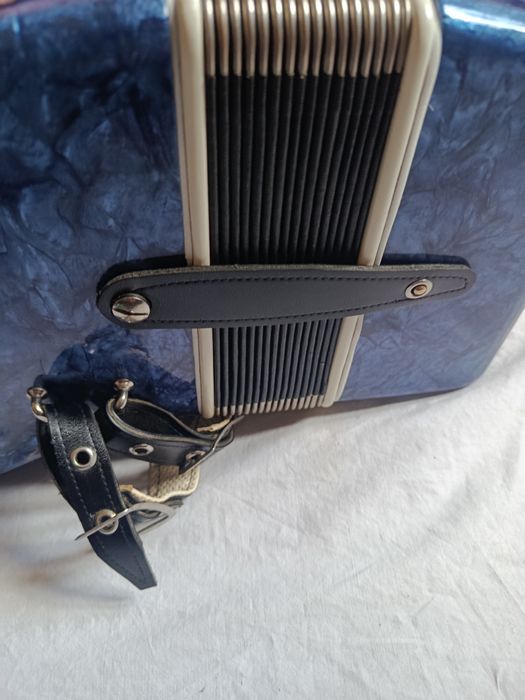 Acordeon Select Timis