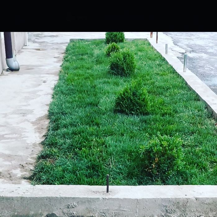 Газон установка кв 25 000