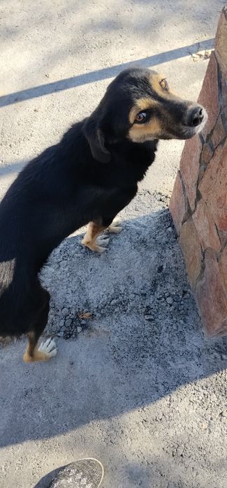 В добрые руки мальчик