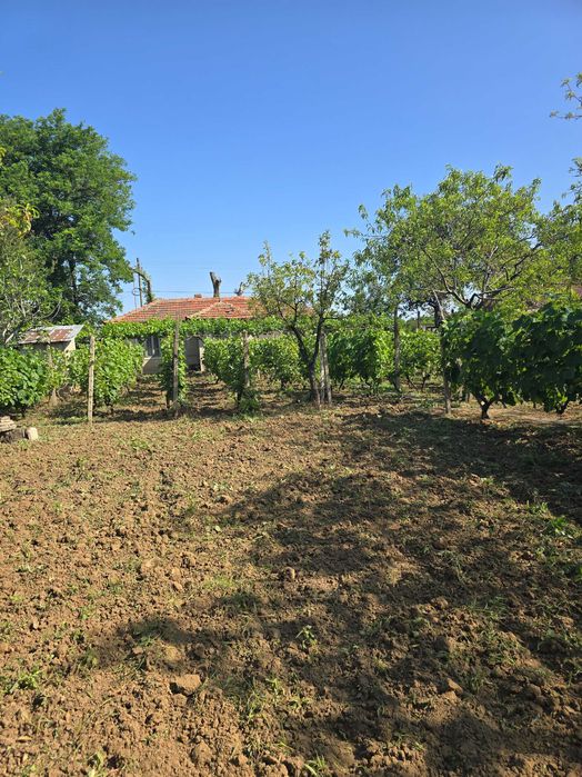 Продава се Къща в с. Калипетрово, Област Силистра - 45 кв.м за 680 €/кв.м - Снимка #6