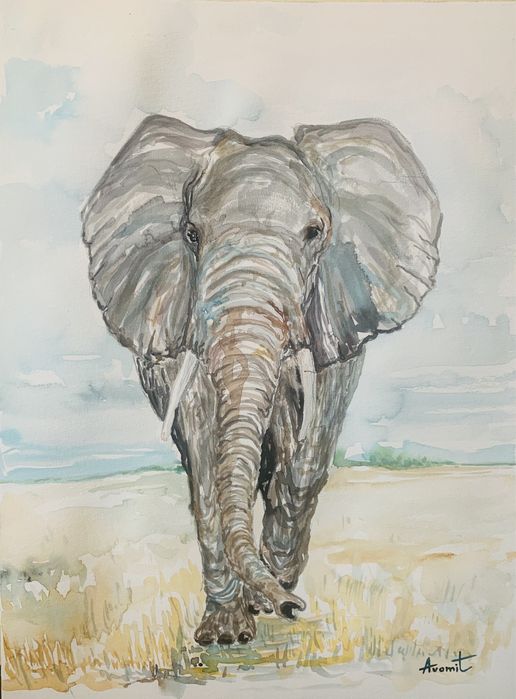 Картина - Акварел 36/41