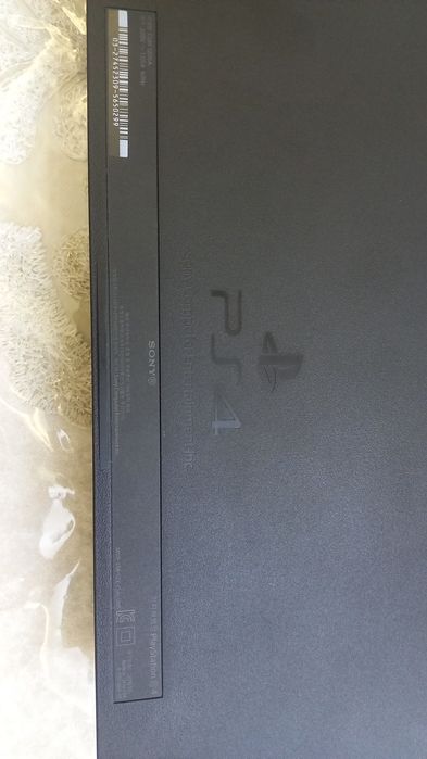 Plesteshin 4 xolati zor