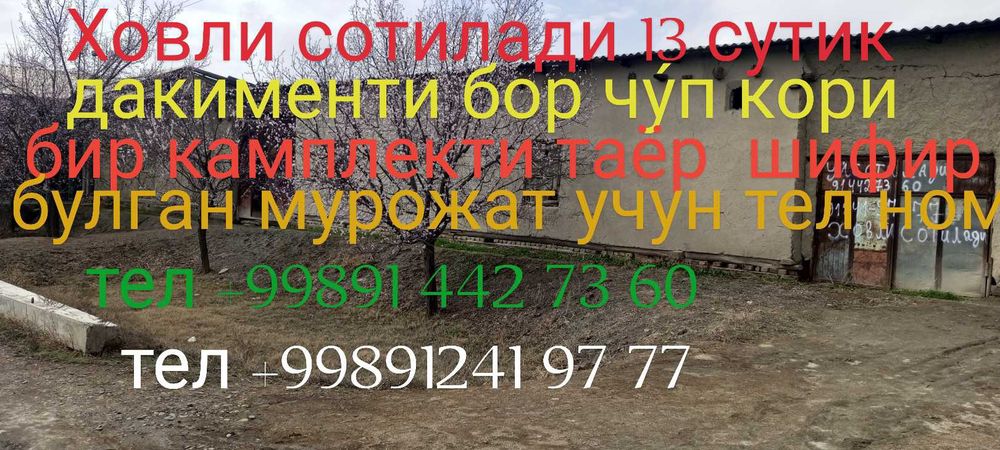 Xovli sotiladi 13 soʻtiq