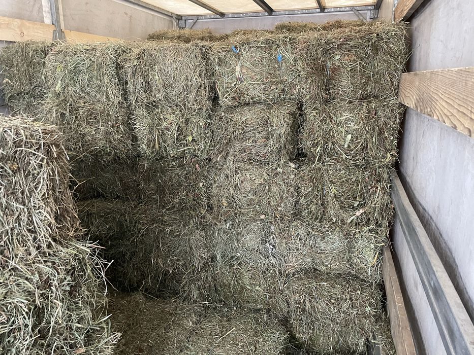 Baloti de fan,lucerna sau otava, pret negociabil