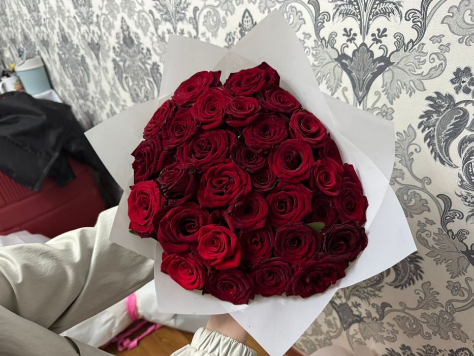 Арзан гулдер свежый