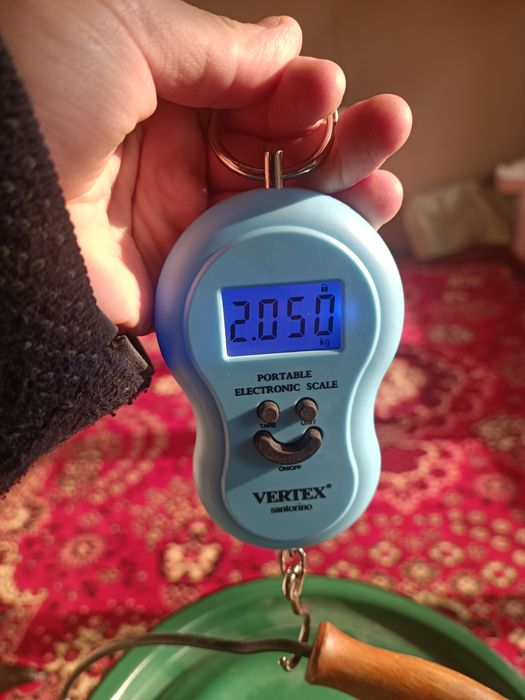 Tarozi ruchnoy 50kg gacha