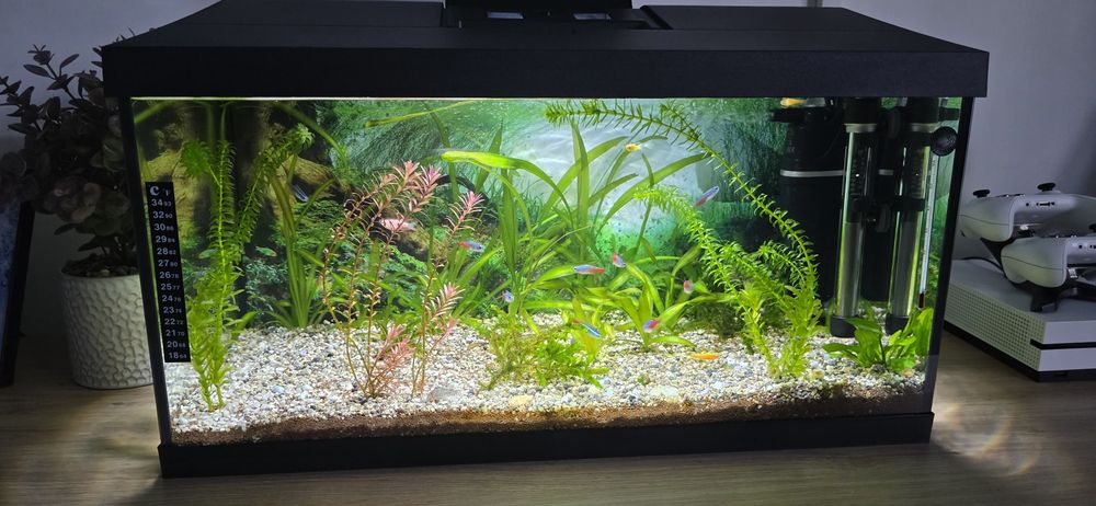 Acvariu 54L  complet