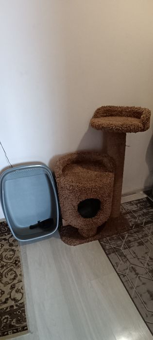 Домик для кошек и котов