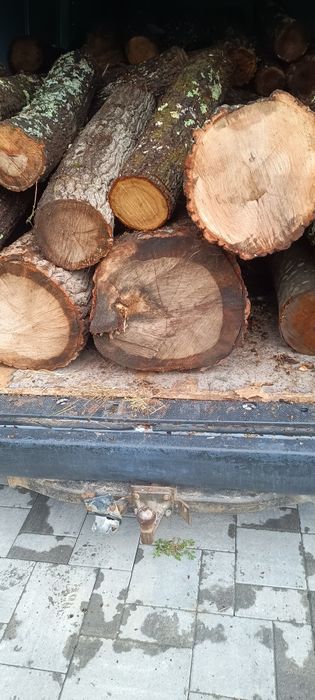 Lemne de foc esență tare