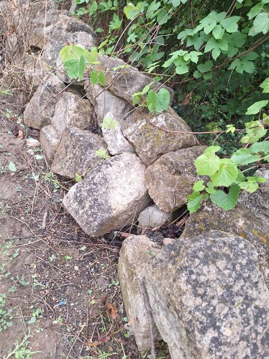 Дялан камък Русе