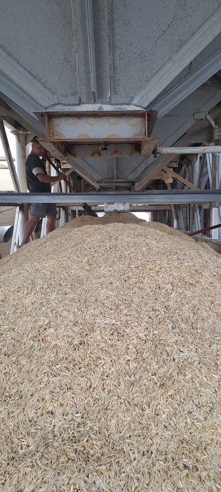 З.отход Пшеничный. Лузга Овсяные навалом