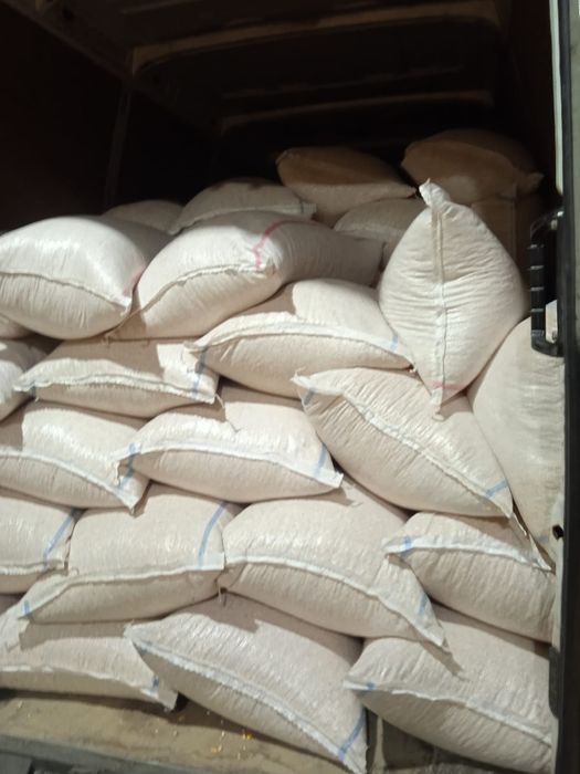 Porumb 0,90 bani cu transport la domiciliu