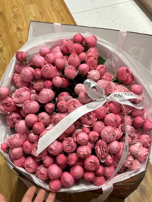 пионы букет красивые свежий