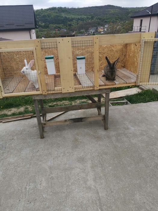 Cuști duble de iepuri, noi.