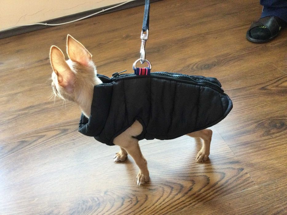 НОВ топъл черен зимен елек за куче от Италия S, M и L размер