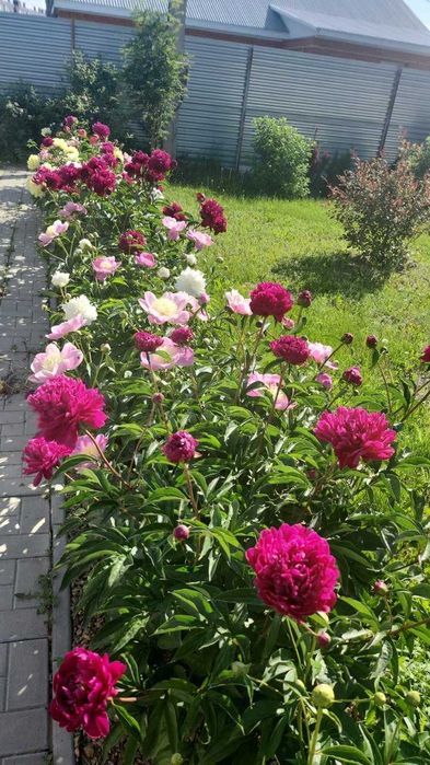 Продам особняк на Береке