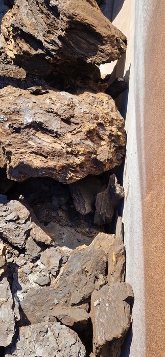 Carbune lignit  și Lemne