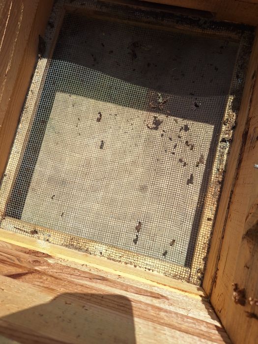 Рамки и пчелни кошери