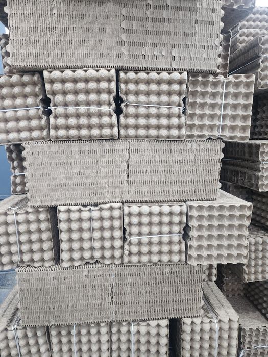 Флейка для яйц с новым оборудованием и качеством