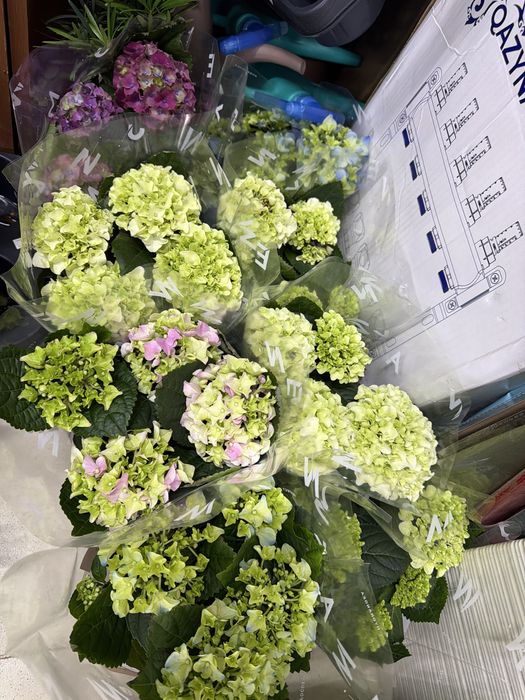 Цветы на 8 марта