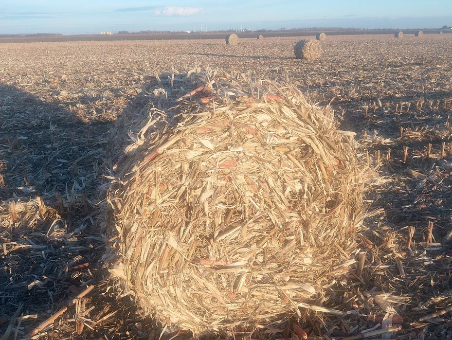 Baloti de ciocăneștein stare buna,in urleasca relații la Nr 07