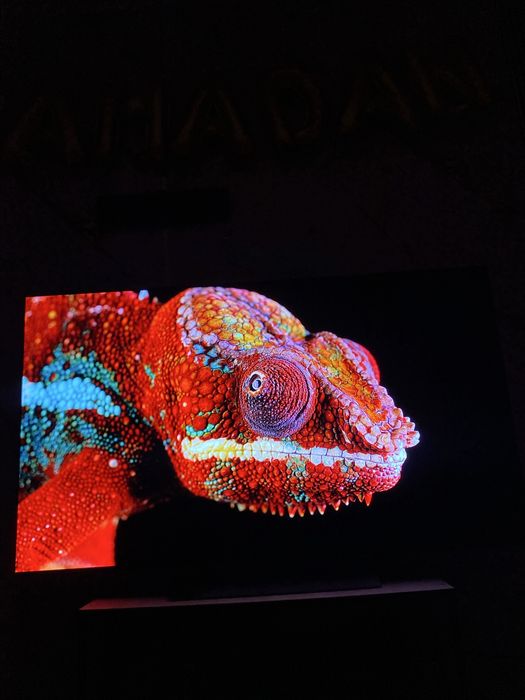 LG OLED evo C2 55