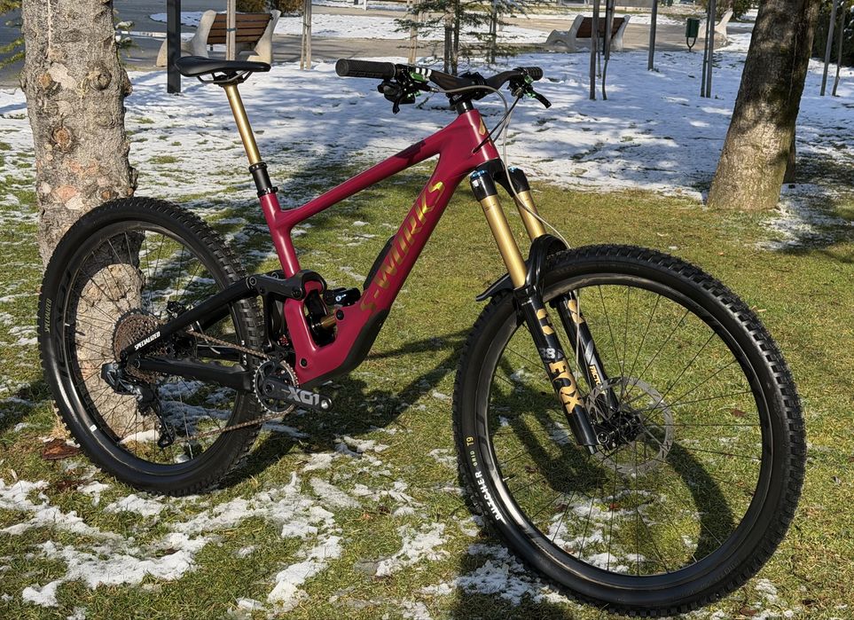 2025 S WORKS ENDURO DREAM BUILD Specialized Carbon S4 AXS