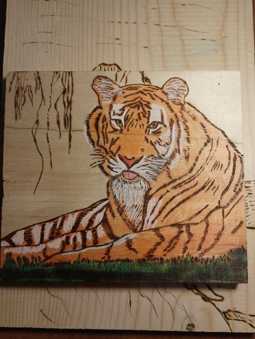 Ръчно рисувани и оцветени картини с пирограф .