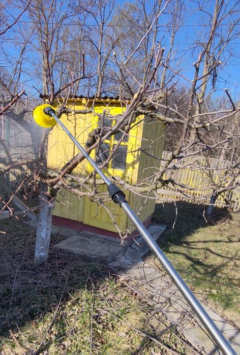 Curățare de copaci și viță de vie