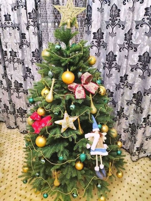 Ёлки по низким ценам